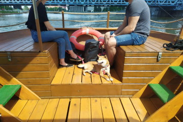 Turyści i pies na statku